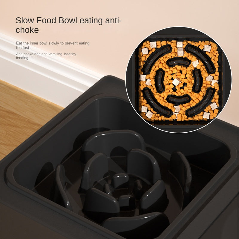 Double Bowls Stand
