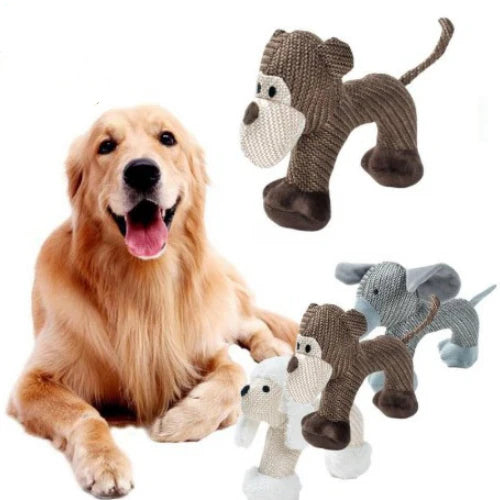 Dog Chew Toy